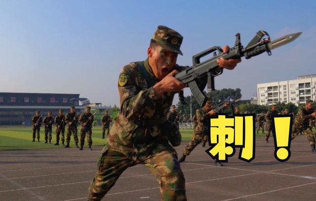 西雅图海湾者外援训练成果显著，力拼强队